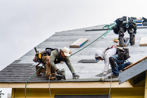 Professional Gutter Installation technician working in Wetmore, CO